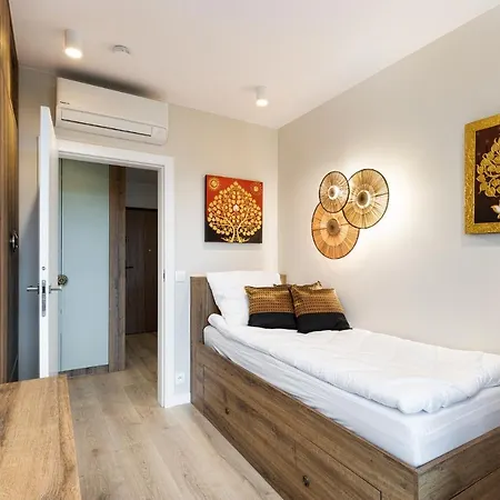 Araliya كراكوفيا