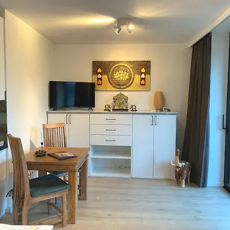 Araliya كراكوفيا