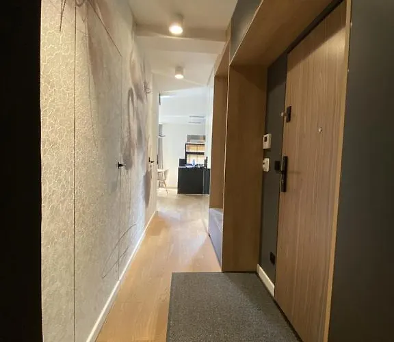 Araliya * クラクフ